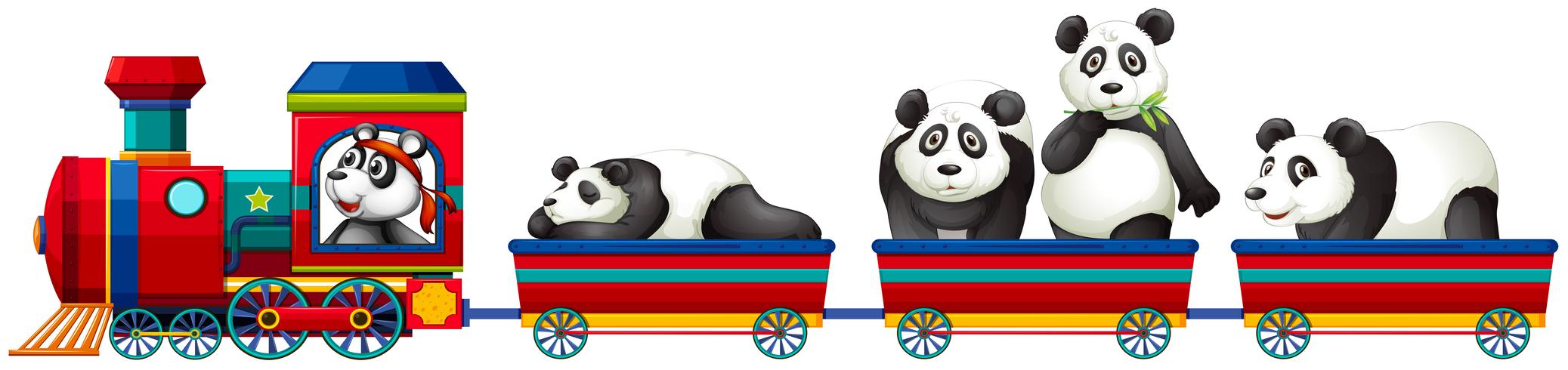 Panda y tren vector