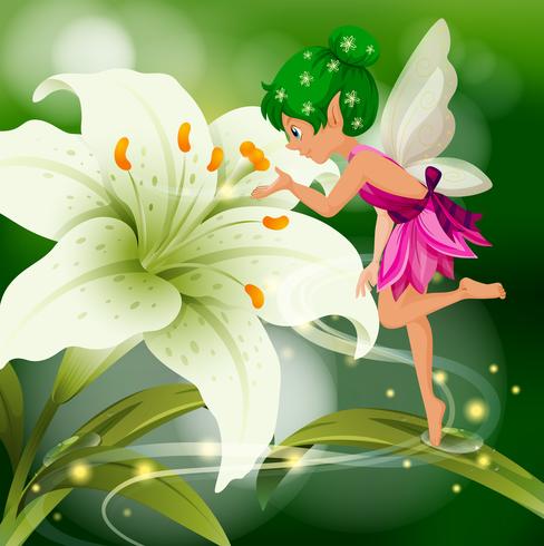 Cute fairy flying around white lily vector
