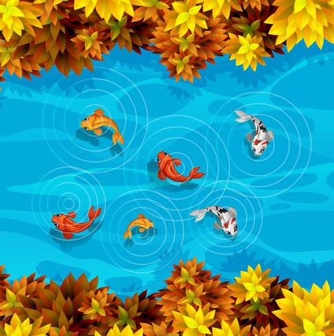 An aerial view of fish pond vector