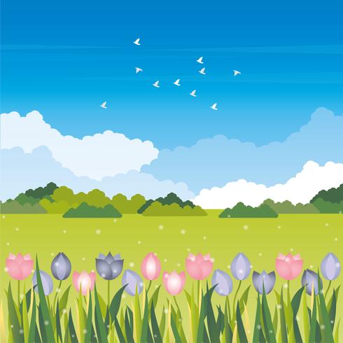 Vector Landscape illustration