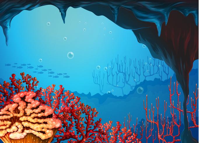 A view of the coral reef vector