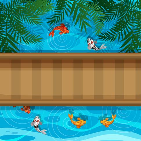 Koi peces en estanque con puente vector