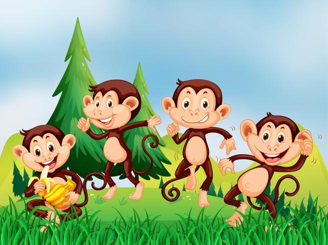 Four monkeys in the field vector