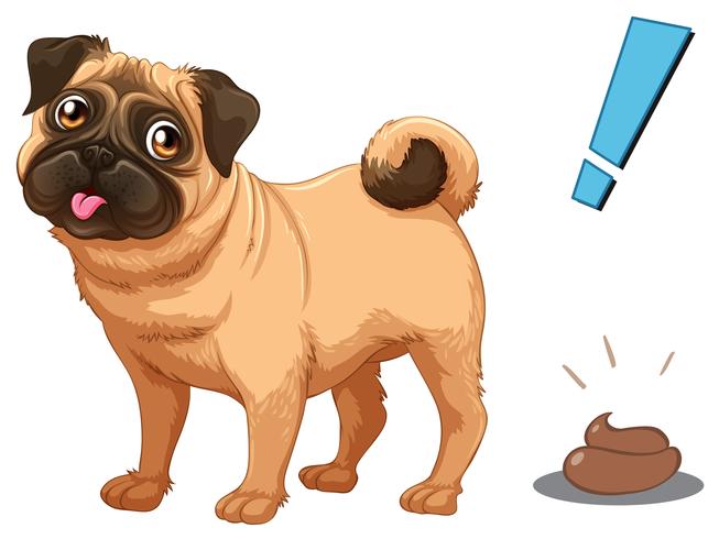 Dog and Poo on White Background vector