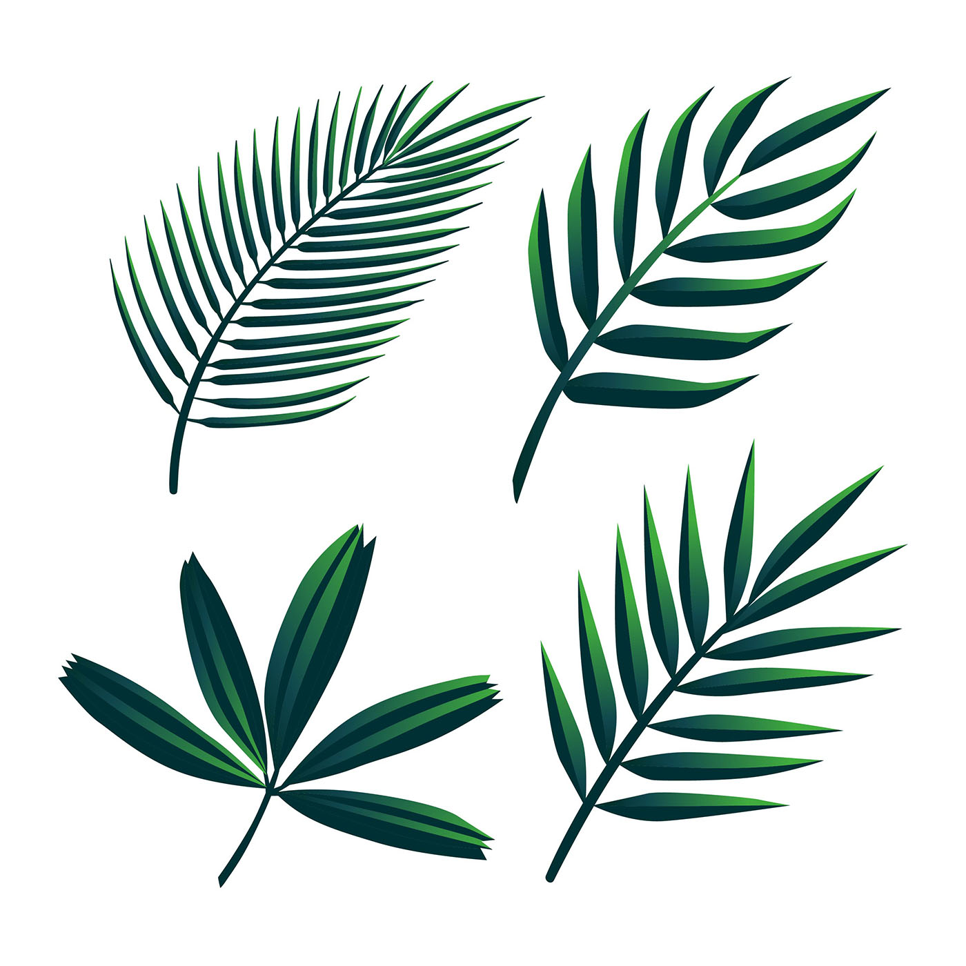 Download Tropical Palm Green Leaves Clipart Set Vector - Download Free Vectors, Clipart Graphics & Vector Art