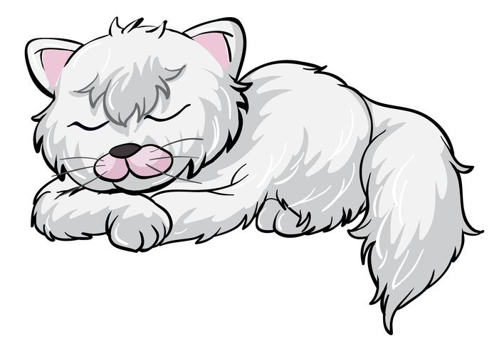 A sleeping cat vector