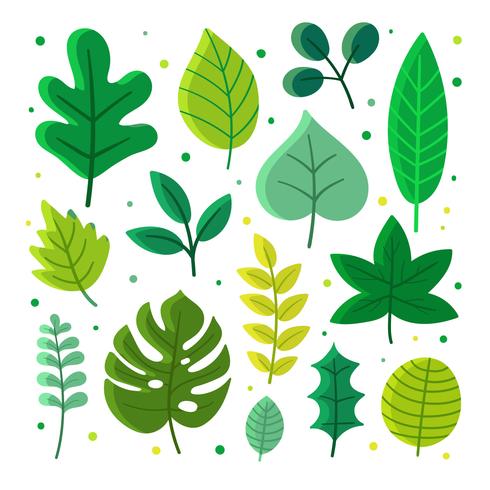 Green Leaves Set Vector