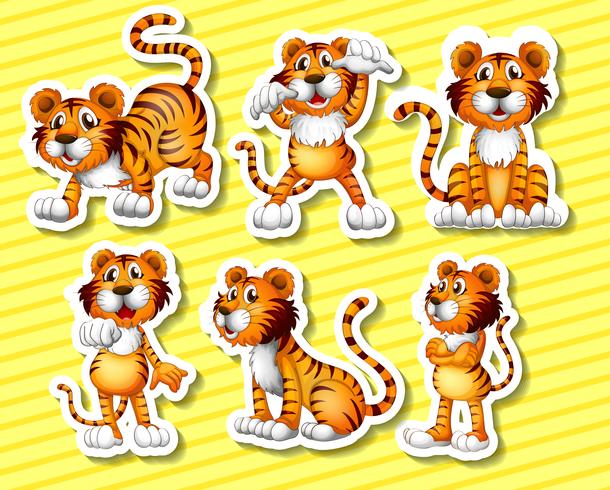 Tigers vector