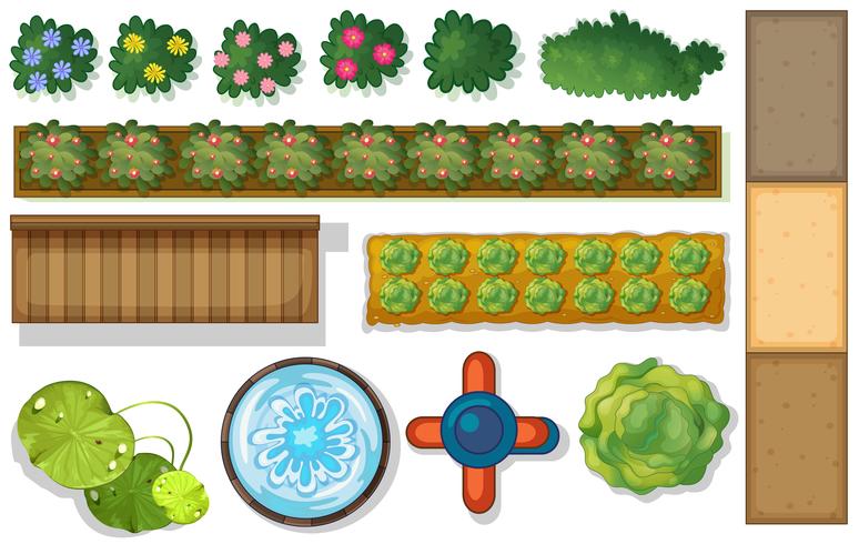 Top view of plants and pond in garden vector