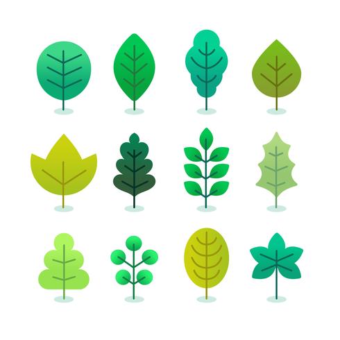 Green Leaves Set Vector