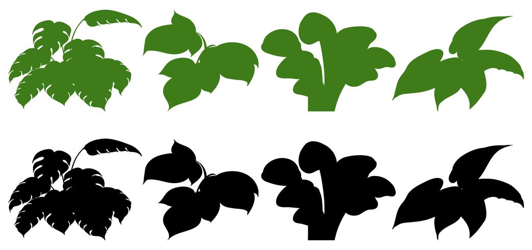 Set of silhouette plant vector