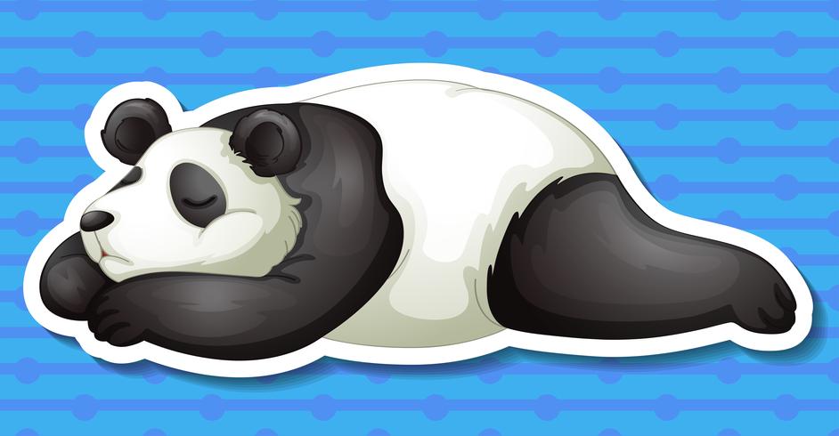 Panda vector