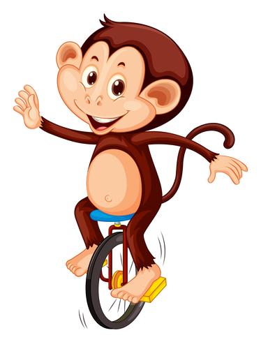 Un mono montando monociclo vector