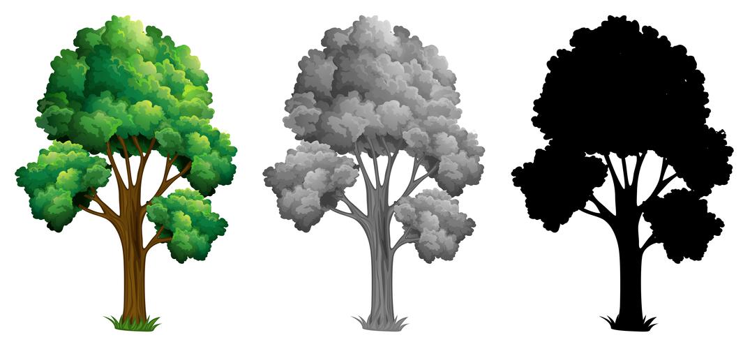 Set of isolated tree vector