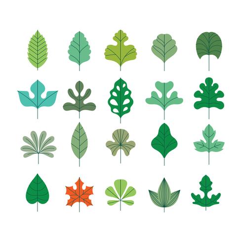 Vector Set of Beautiful  Leaves with Minimalist Style