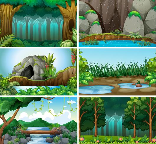 Set of forest background vector