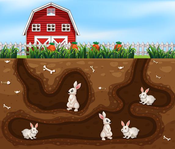 Rabbit House Underground the Farm vector