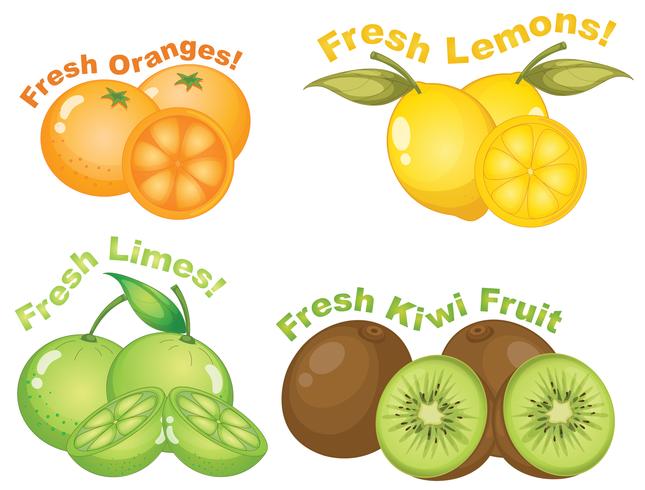 Set of citrus fruits