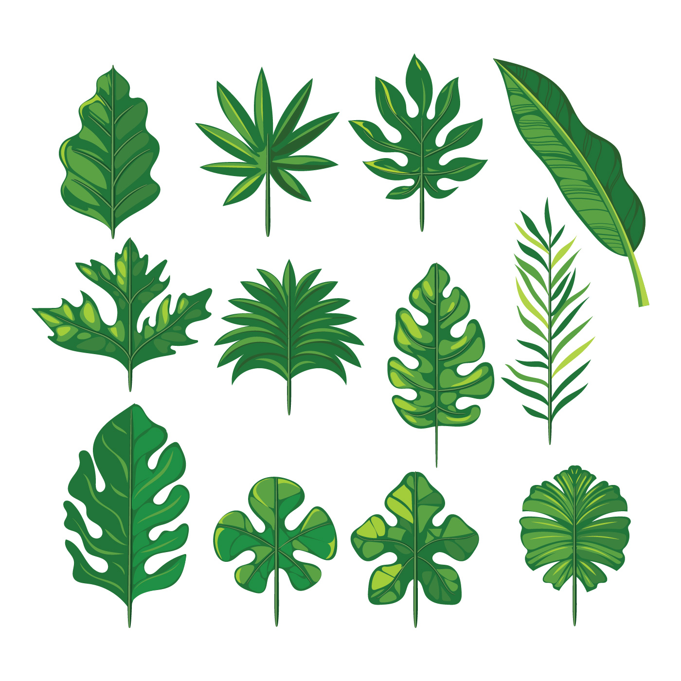 Vector Set of Tropical Leaves 360315 Vector Art at Vecteezy