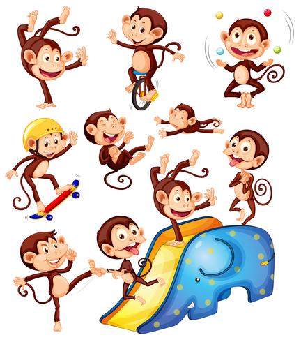 A set of monkey character vector