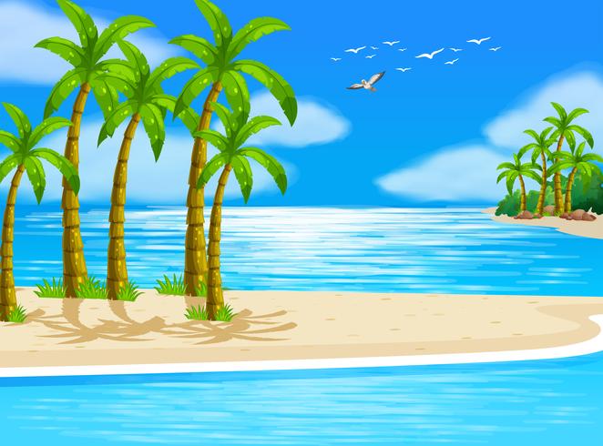Beach vector