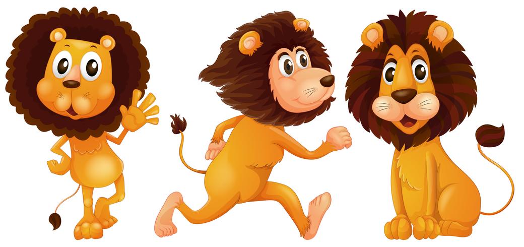 Lion set vector