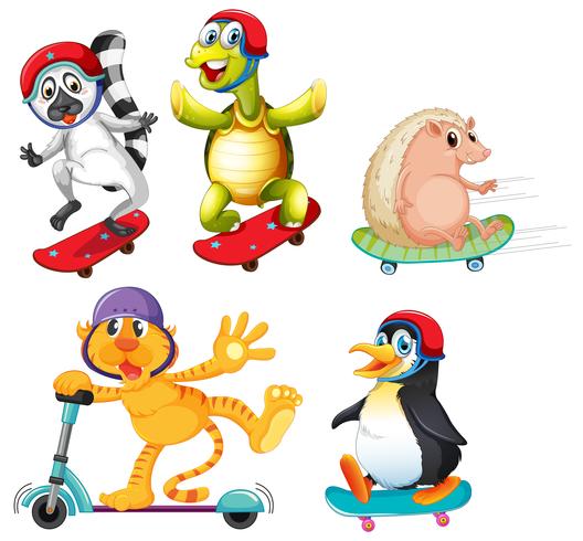 Set of animal with extreme sport vector
