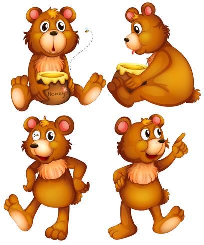 Four brown bears vector