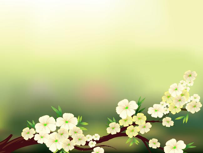 A stationery with fresh white flowers vector