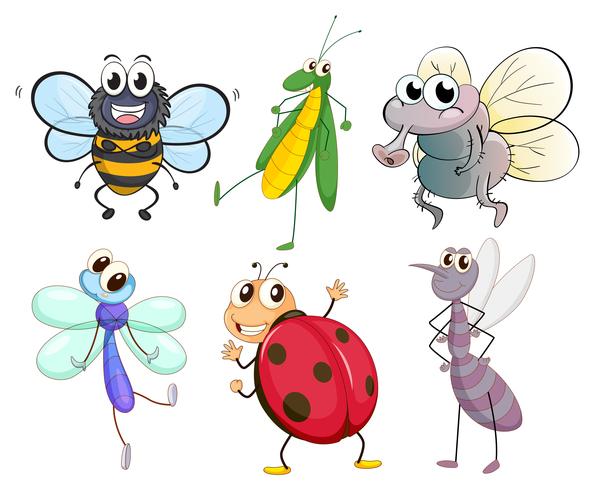 Different insects vector