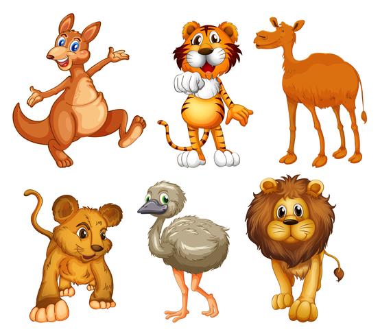 A group of wild animals vector