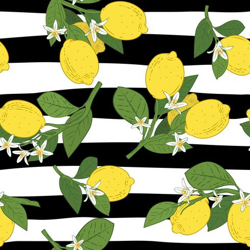 Sin costuras de ramas con limones, hojas verdes y flores en el patrón de liniar blanco y negro. Fondo de cítricos. Ilustración vectorial vector