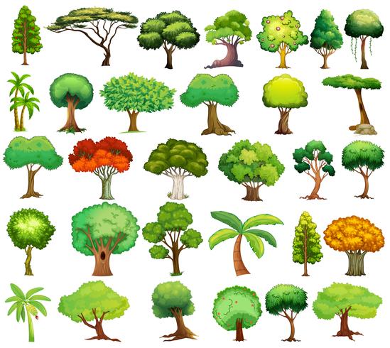 Set of trees vector