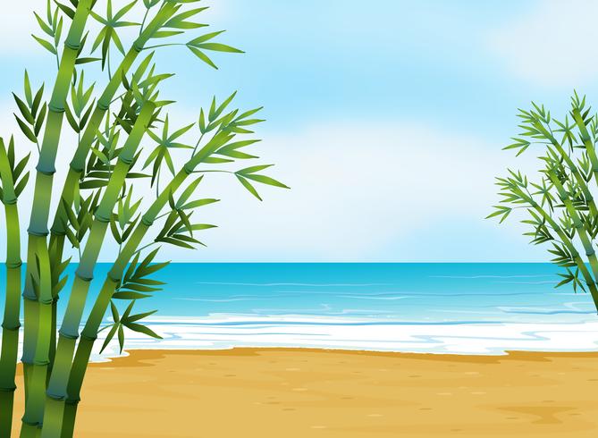 A view of the beach vector