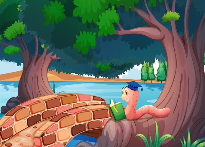 A worm reading a book above the roots of a tree vector