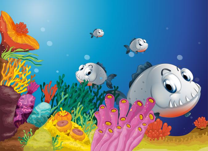 A school of scary gray fishes vector