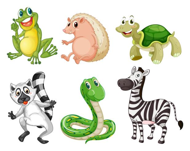 Different species of animals vector