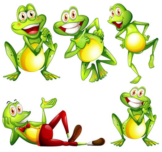 Frogs vector