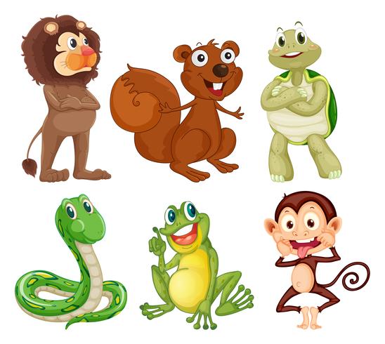 Six different kinds of animals in the jungle vector