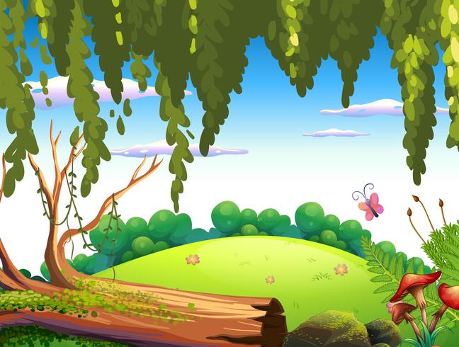 A nature forest background vector