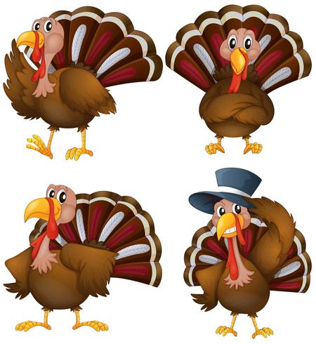 Turkey set vector