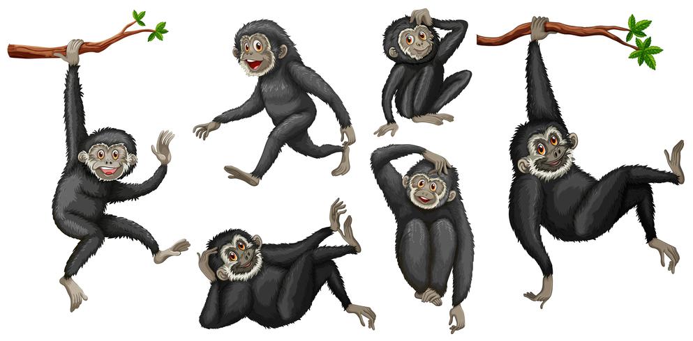desenho animado macaco personagem animal para colorir página 1945146 Vetor  no Vecteezy