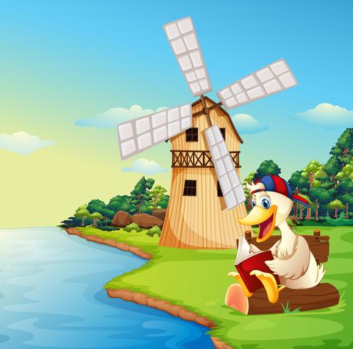 A duck reading a book near the windmill vector