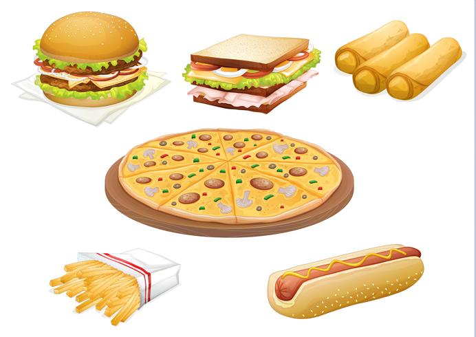 various foods vector