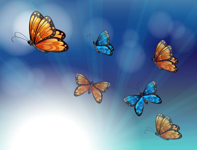 Mariposas coloridas en un papel de color degradado vector