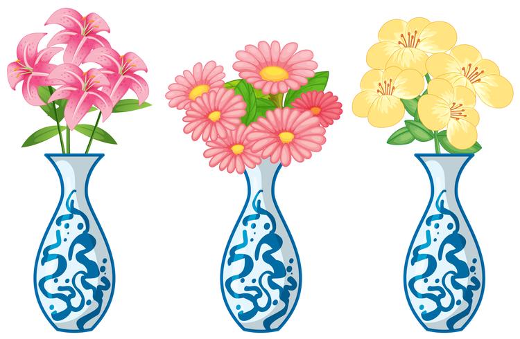 Flowers in ceremic vase vector