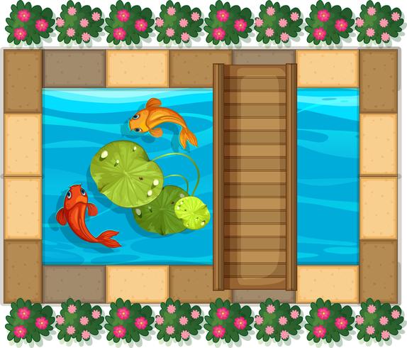 Escena de estanque con peces y nenúfar vector