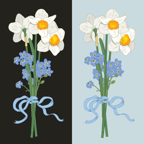 Narcisus and myosotis. Hand drawn bouquet on dark background. Vector illustration