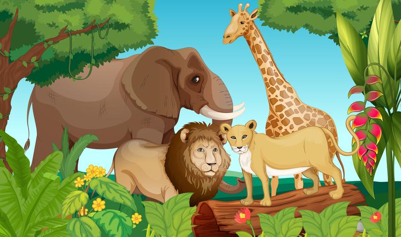 Animals in the jungle vector