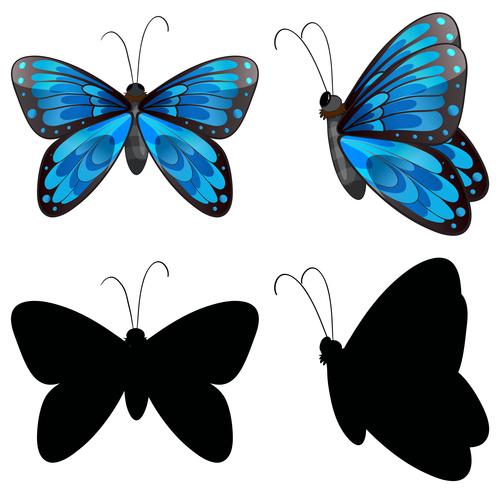 Silueta de mariposa en dos posiciones. vector